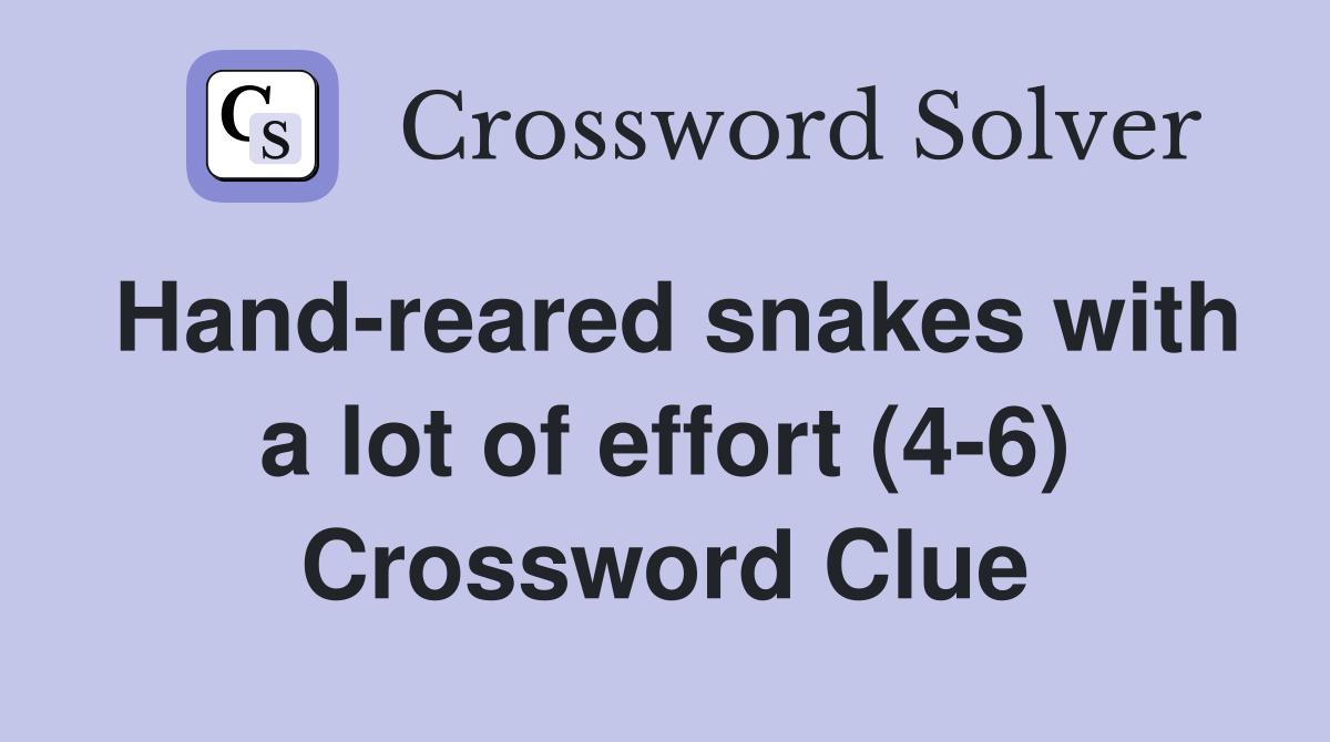 Hand-reared snakes with a lot of effort (4-6) Crossword Clue