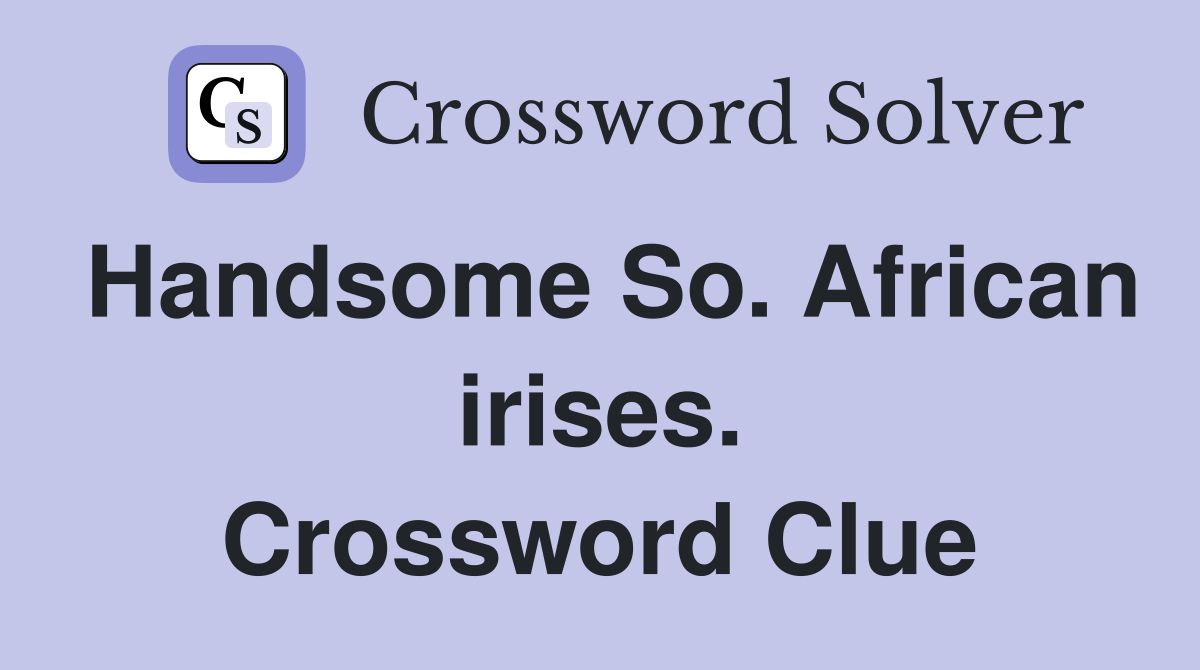 Handsome So. African irises. Crossword Clue
