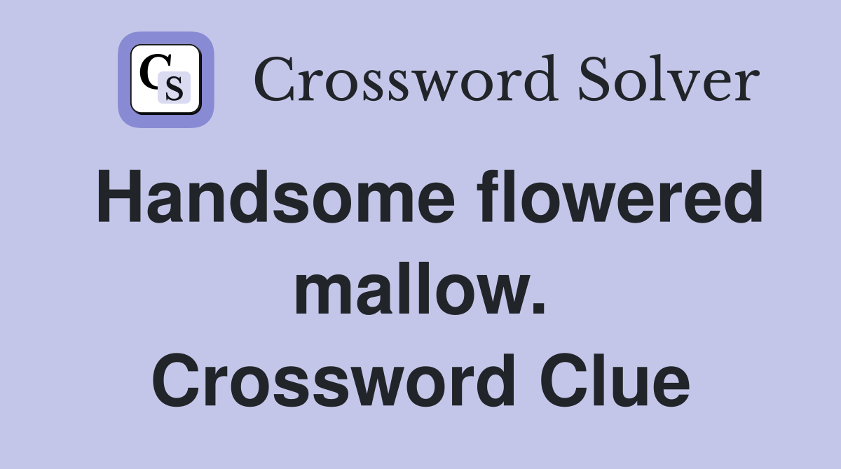 Handsome flowered mallow. Crossword Clue