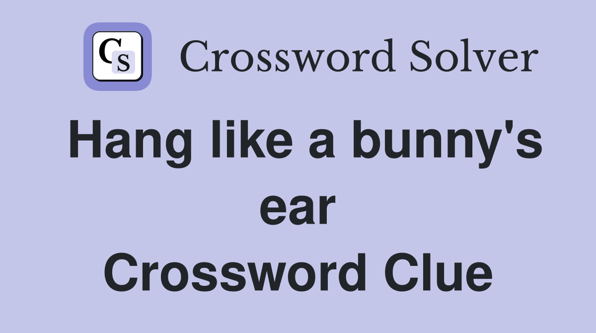 Hang like a bunny's ear Crossword Clue
