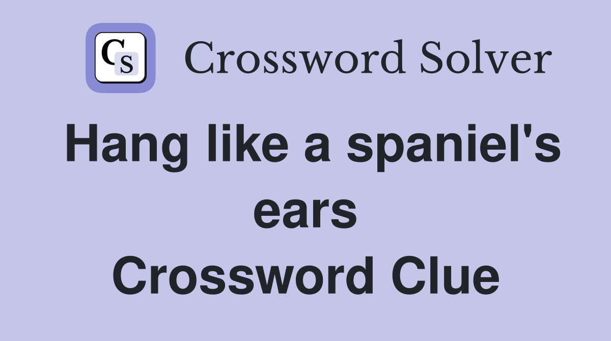 Hang like a spaniel's ears Crossword Clue