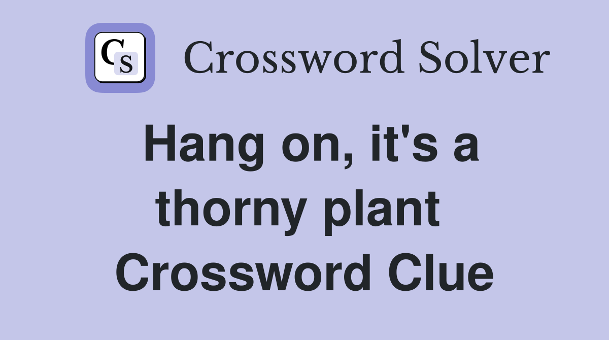 Hang on, it's a thorny plant  Crossword Clue