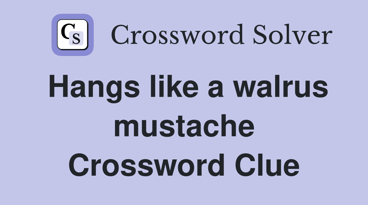 Hangs like a walrus mustache Crossword Clue