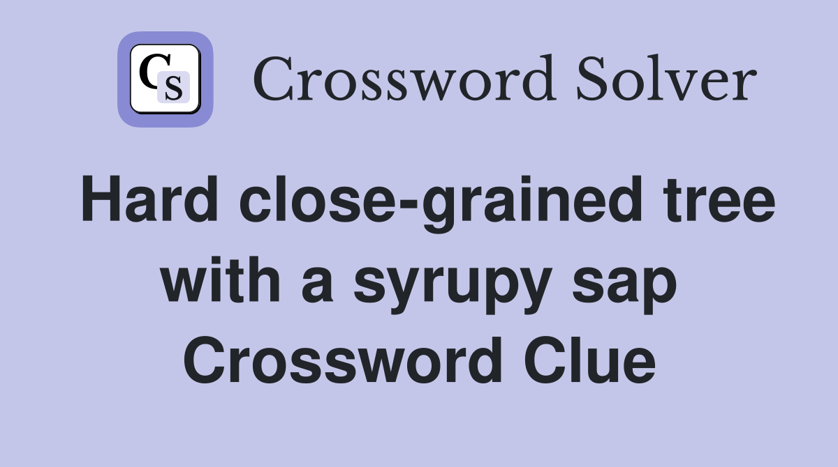 Hard close-grained tree with a syrupy sap Crossword Clue