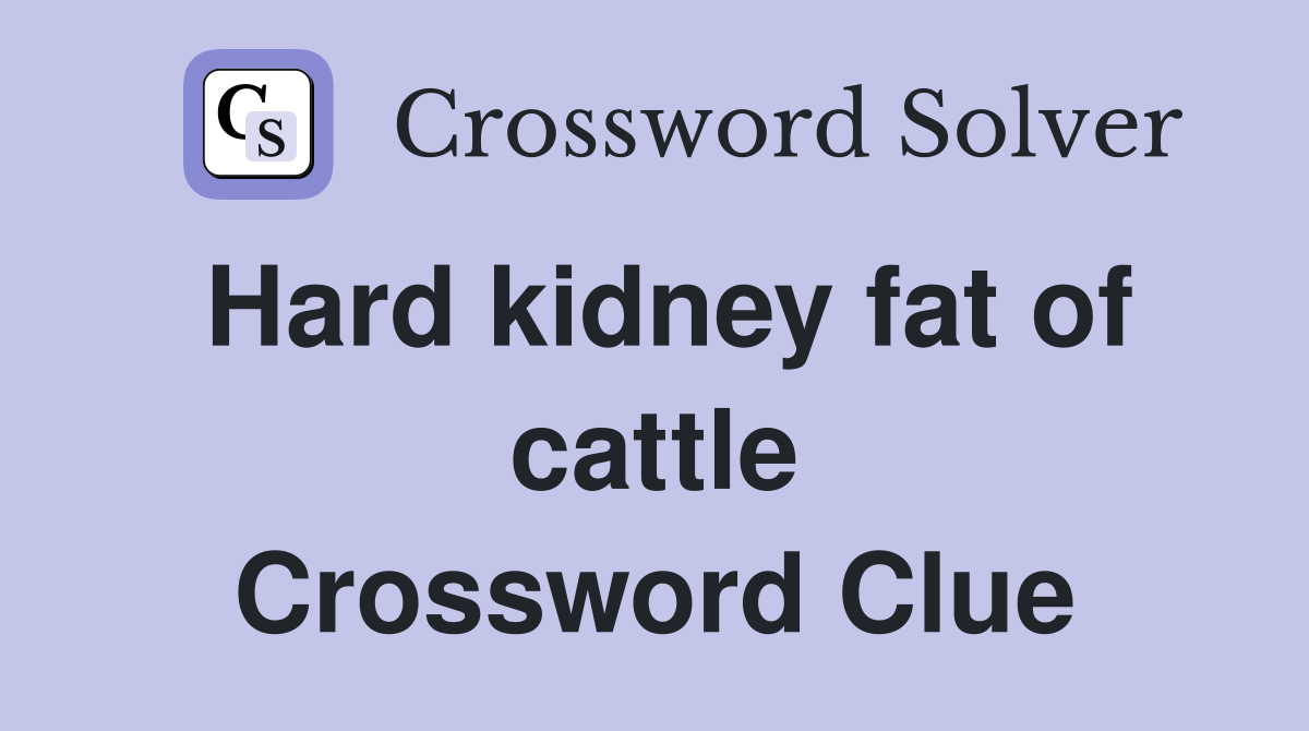 Hard kidney fat of cattle Crossword Clue