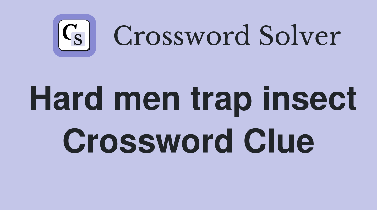 Hard men trap insect Crossword Clue