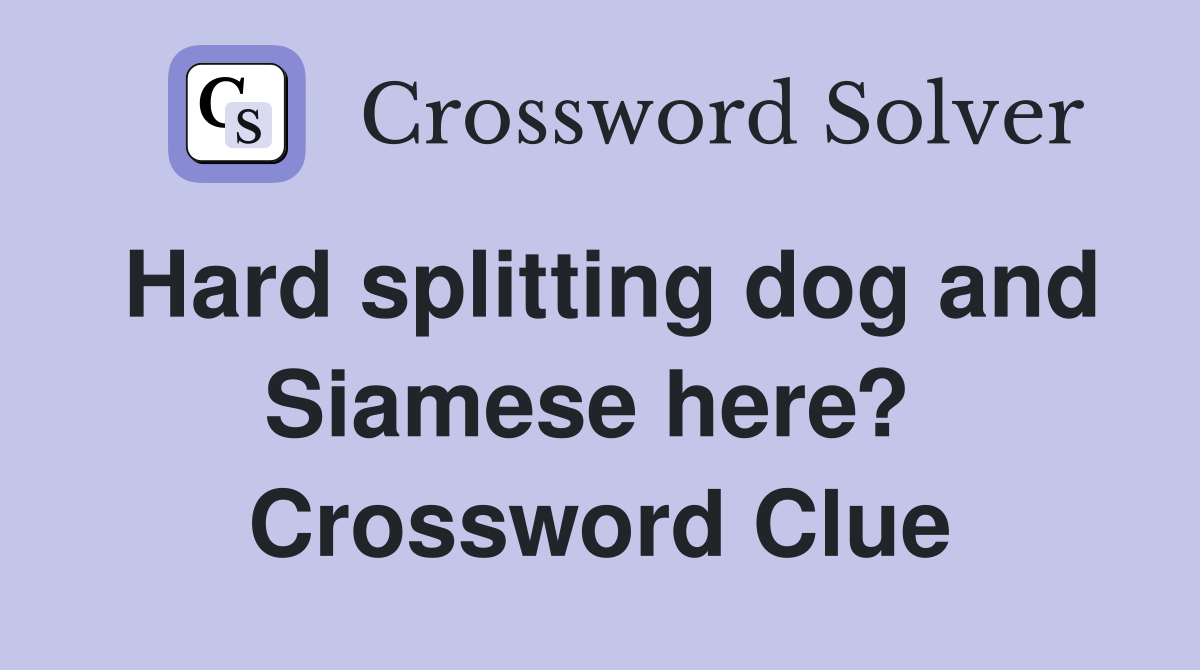 Hard splitting dog and Siamese here?  Crossword Clue