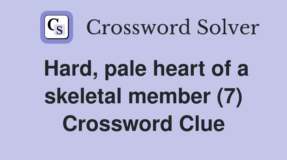 Hard, pale heart of a skeletal member (7) Crossword Clue
