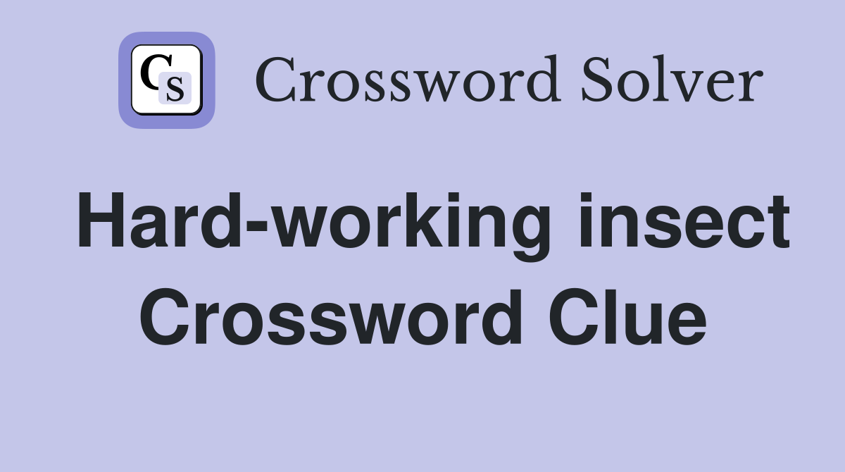 Hard-working insect Crossword Clue