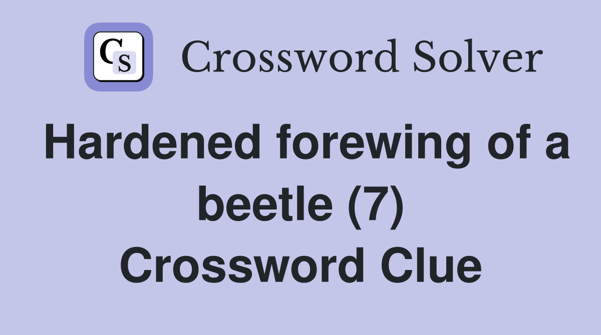 Hardened forewing of a beetle (7) Crossword Clue