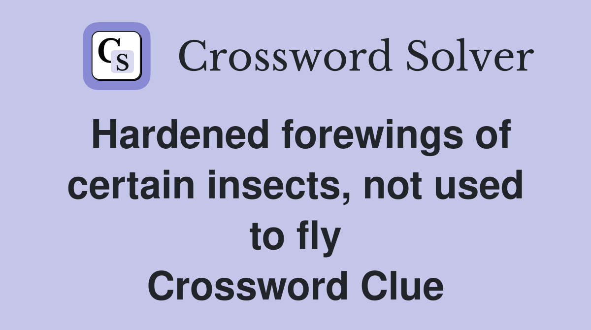 Hardened forewings of certain insects, not used to fly Crossword Clue