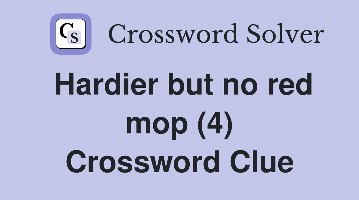 Hardier but no red mop (4) Crossword Clue
