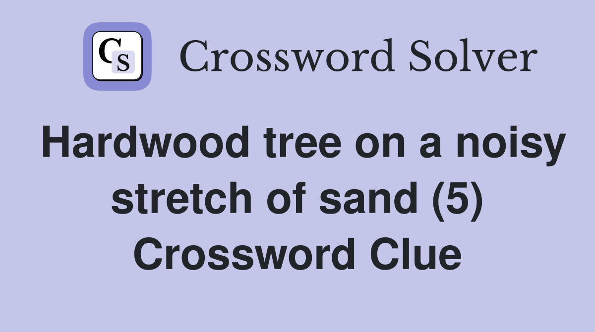 Hardwood tree on a noisy stretch of sand (5) Crossword Clue