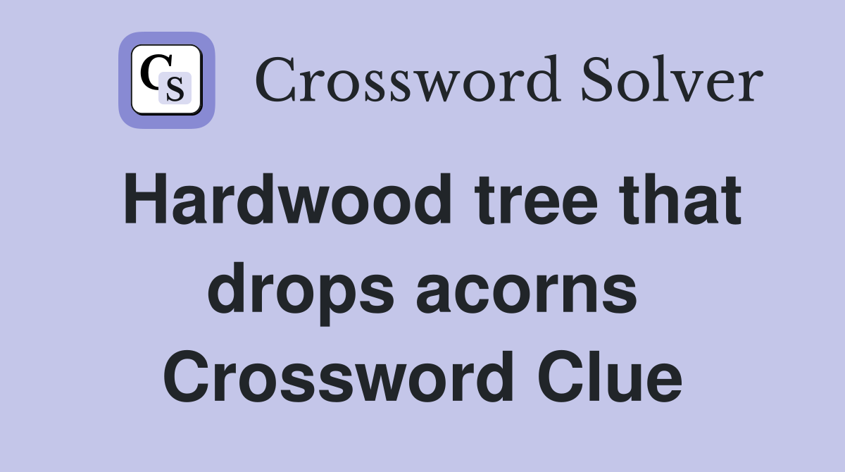 Hardwood tree that drops acorns Crossword Clue