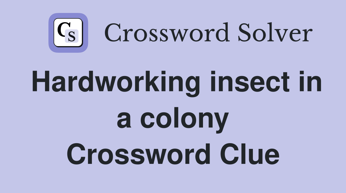 Hardworking insect in a colony Crossword Clue