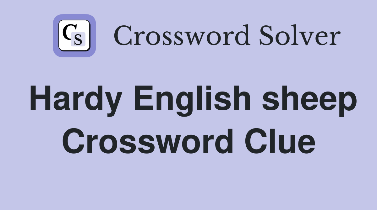 Hardy English sheep Crossword Clue