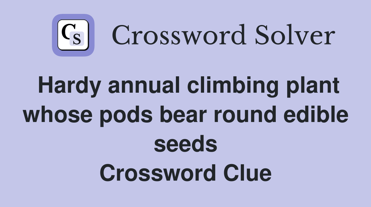 Hardy annual climbing plant whose pods bear round edible seeds Crossword Clue