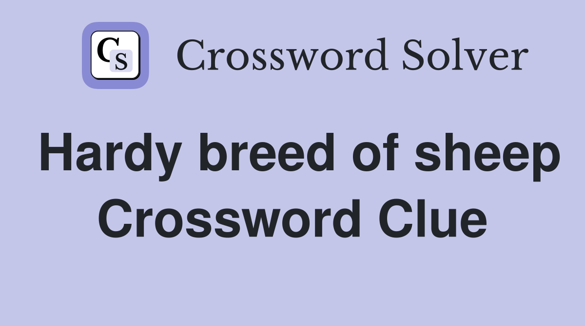 Hardy breed of sheep Crossword Clue