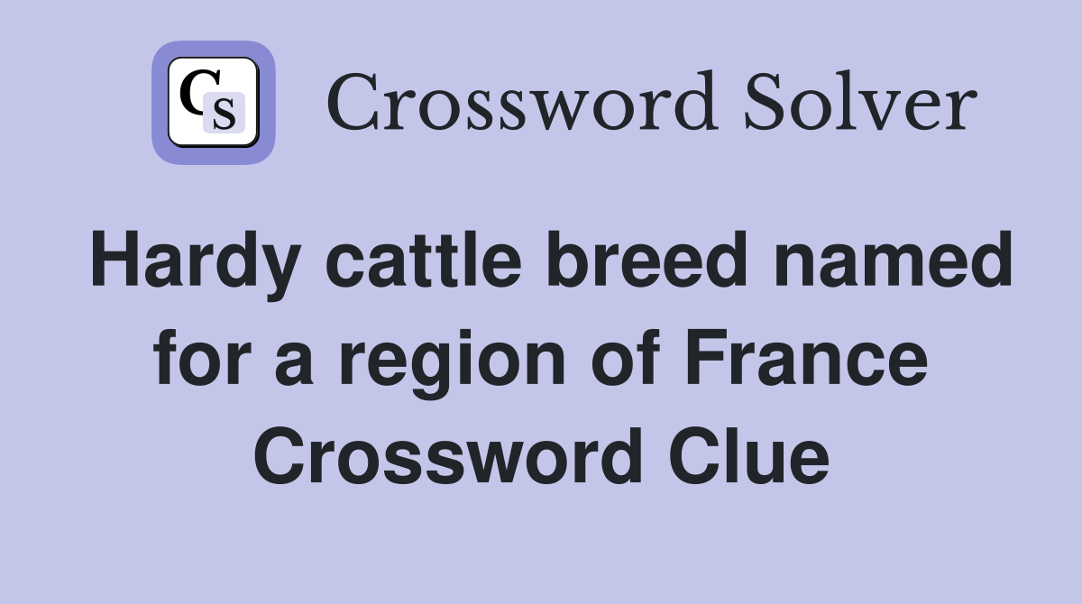 Hardy cattle breed named for a region of France Crossword Clue
