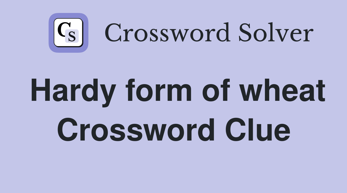 Hardy form of wheat Crossword Clue