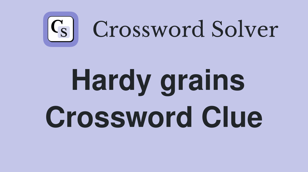 Hardy grains Crossword Clue