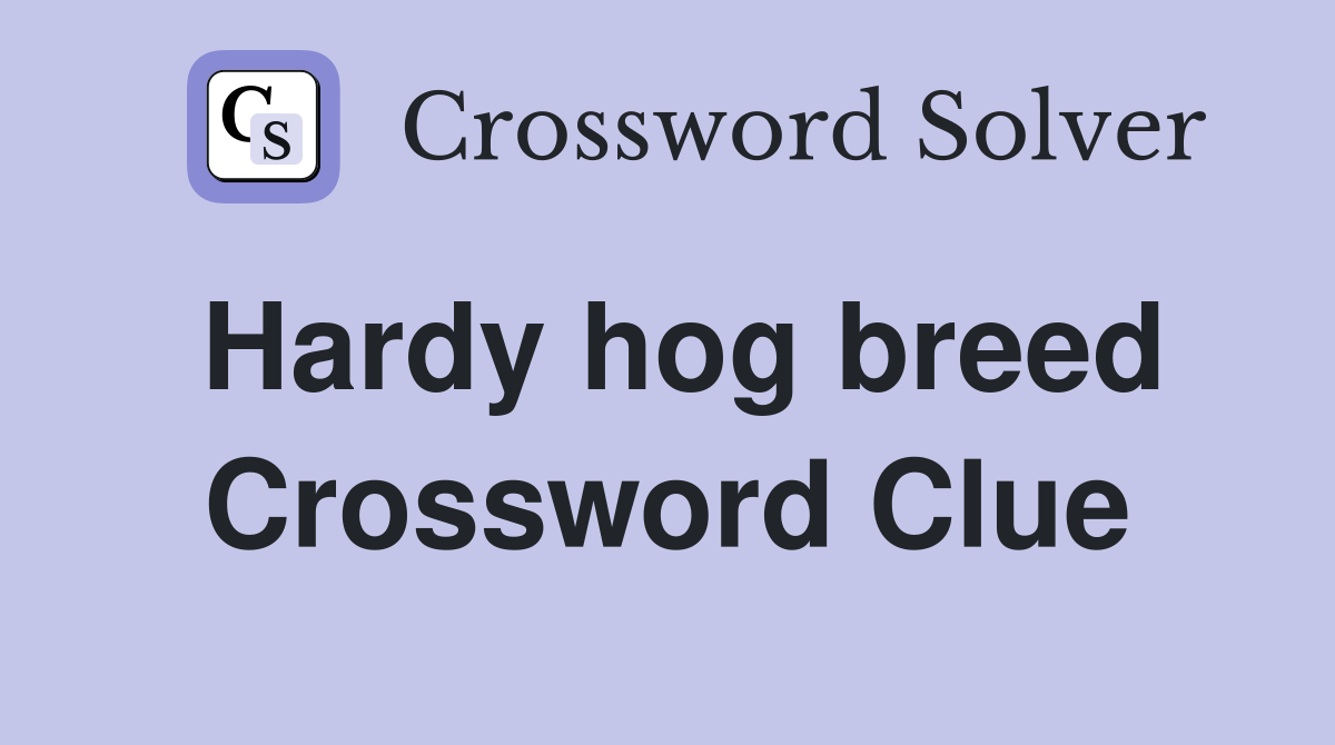Hardy hog breed Crossword Clue