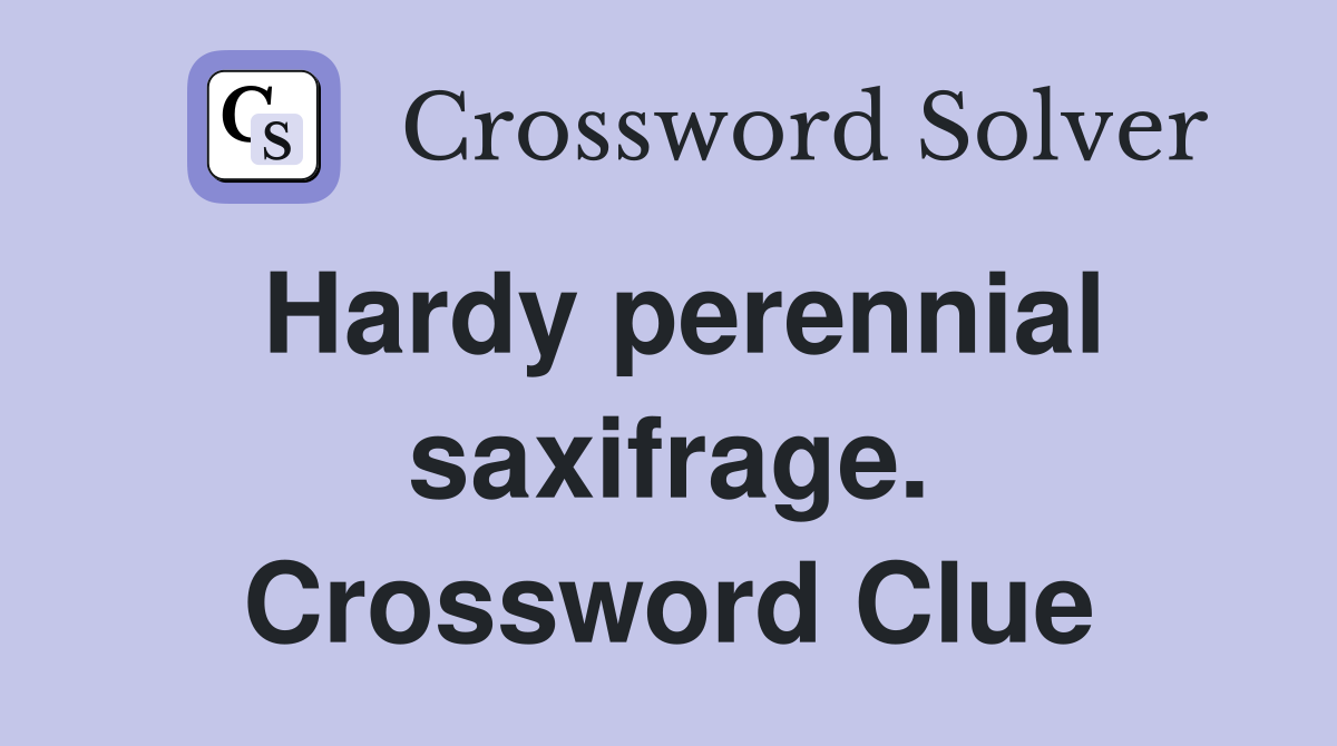 Hardy perennial saxifrage. Crossword Clue