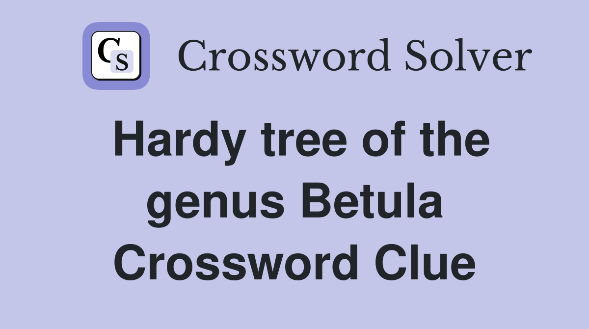 Hardy tree of the genus Betula Crossword Clue