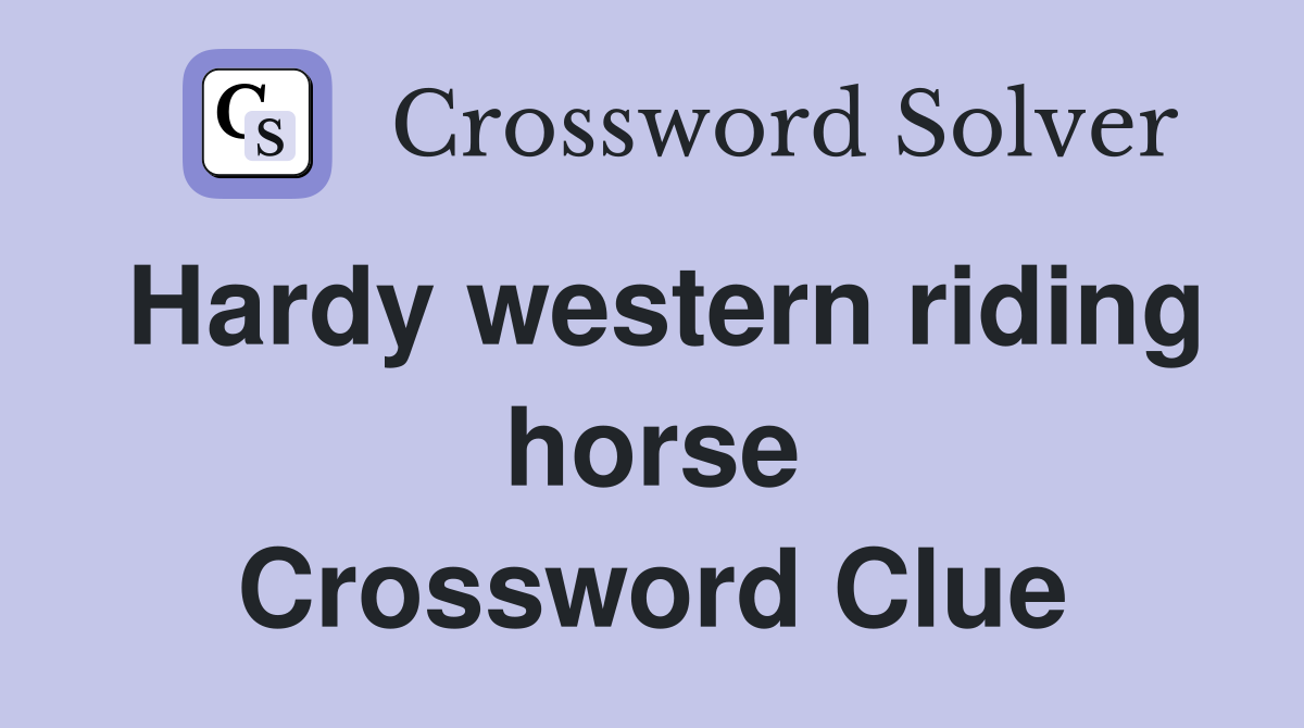 Hardy western riding horse Crossword Clue