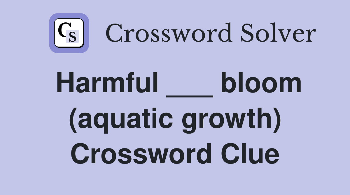 Harmful ___ bloom (aquatic growth) Crossword Clue