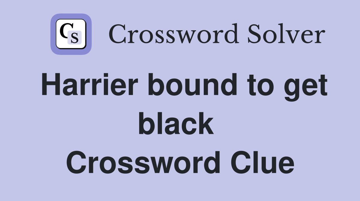 Harrier bound to get black  Crossword Clue
