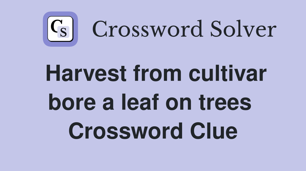Harvest from cultivar bore a leaf on trees  Crossword Clue