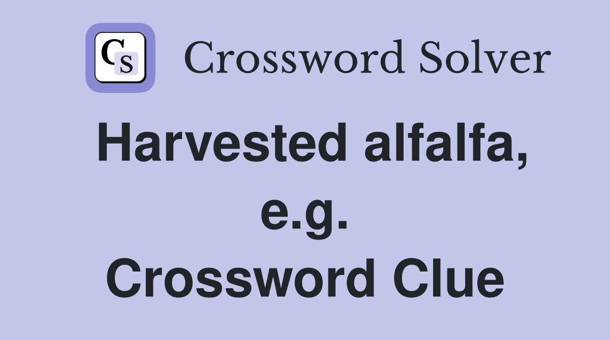 Harvested alfalfa, e.g. Crossword Clue