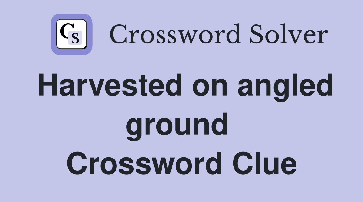 Harvested on angled ground  Crossword Clue