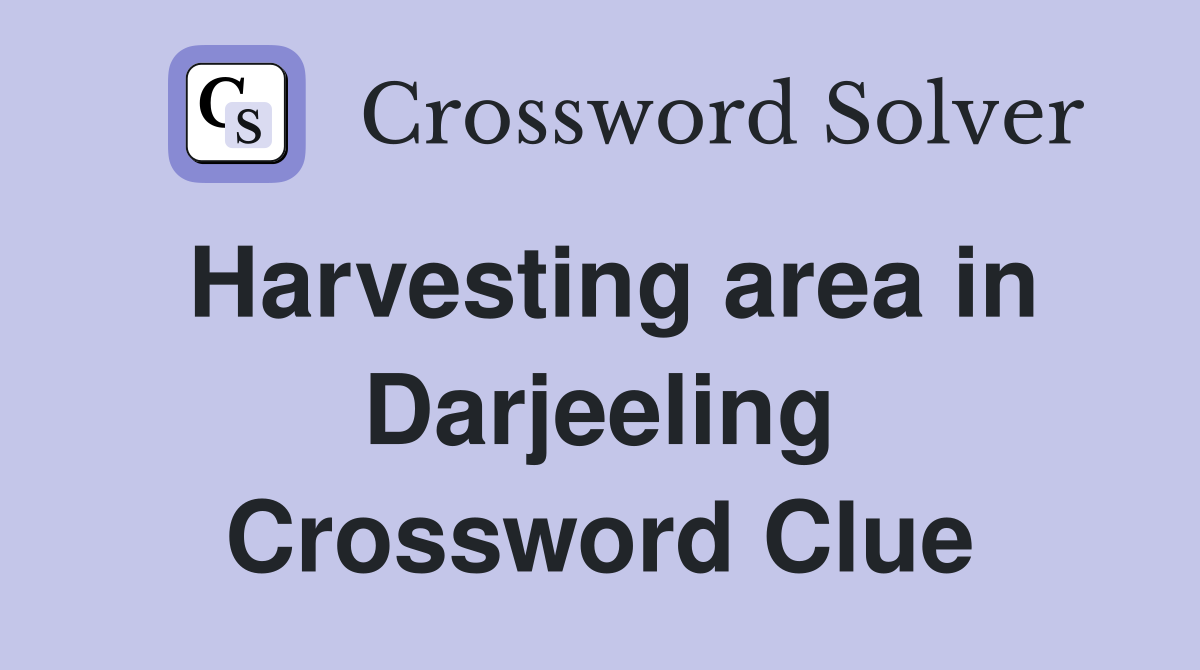 Harvesting area in Darjeeling Crossword Clue
