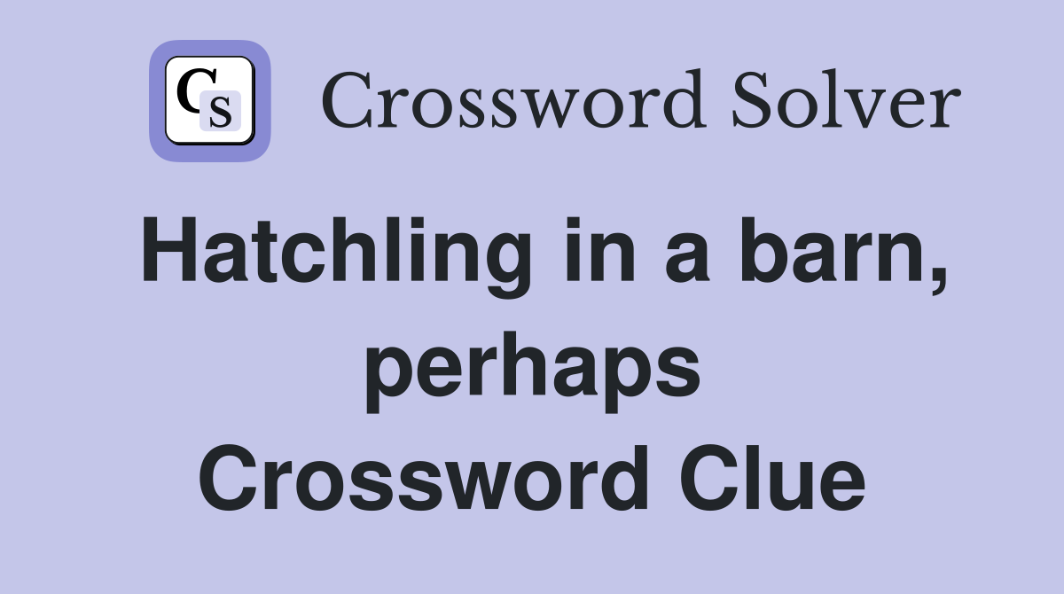 Hatchling in a barn, perhaps Crossword Clue