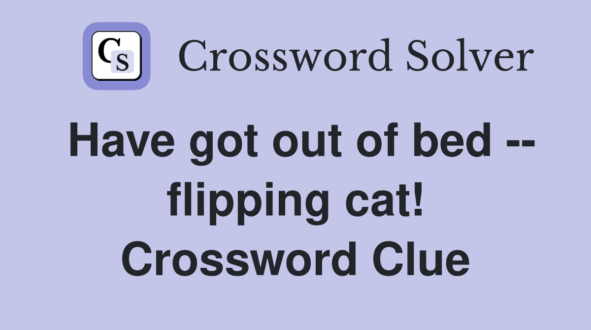 Have got out of bed -- flipping cat! Crossword Clue
