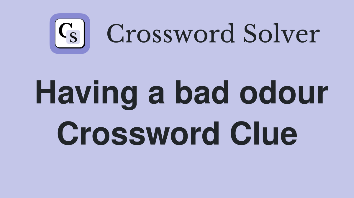 Having a bad odour Crossword Clue