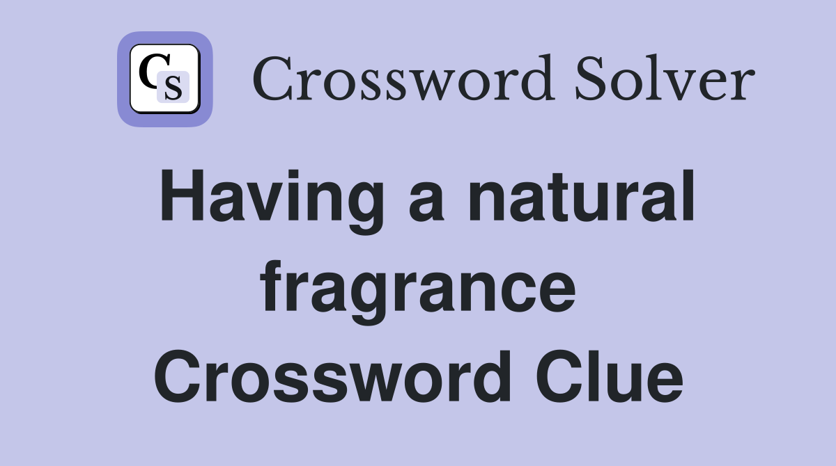 Having a natural fragrance Crossword Clue