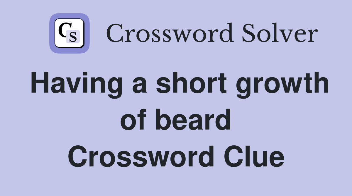Having a short growth of beard Crossword Clue