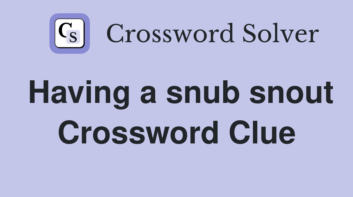 Having a snub snout Crossword Clue
