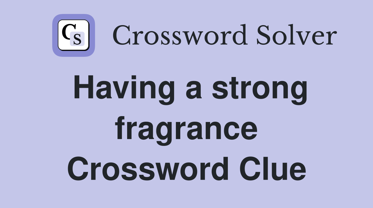Having a strong fragrance Crossword Clue