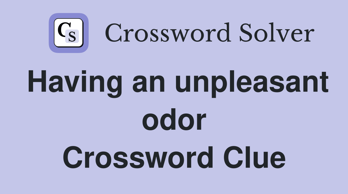 Having an unpleasant odor Crossword Clue