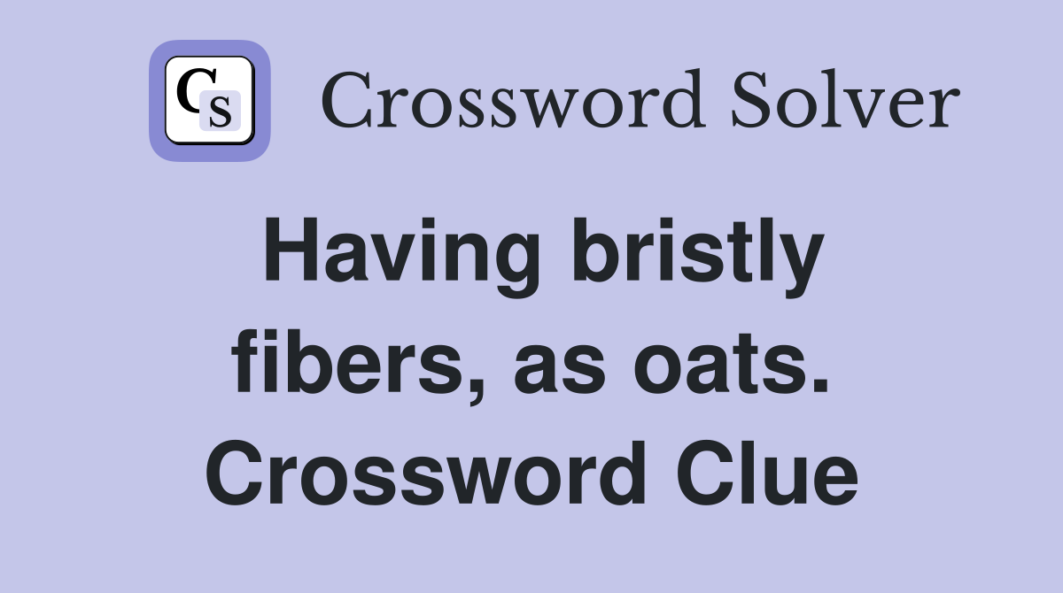 Having bristly fibers, as oats. Crossword Clue