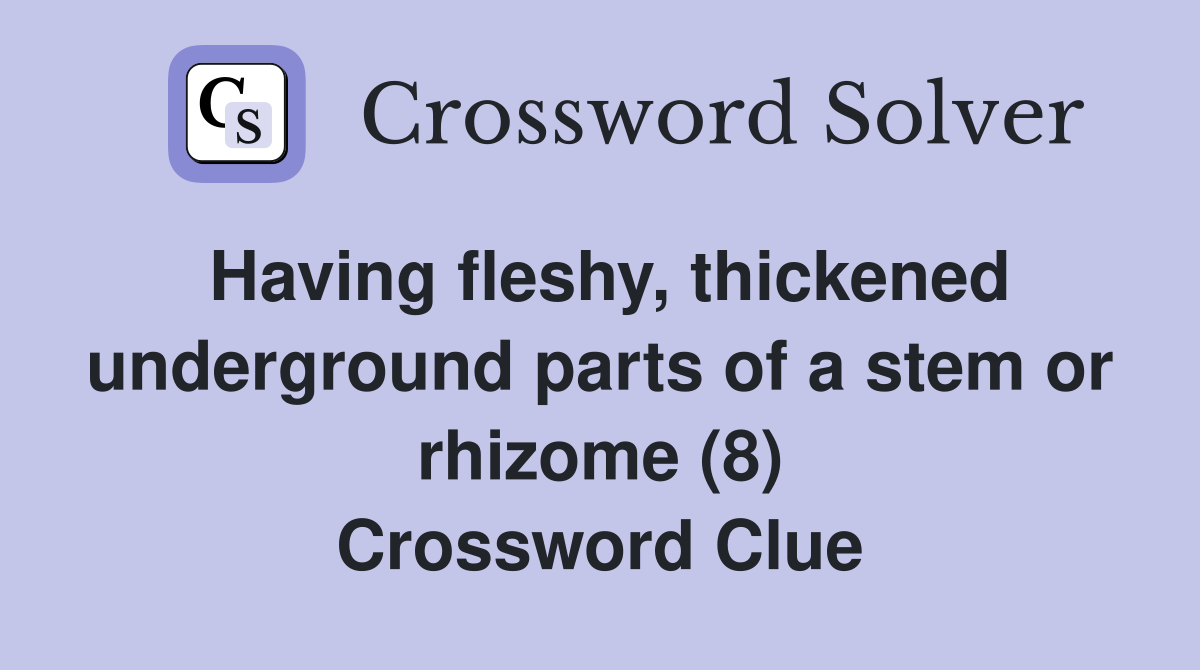Having fleshy, thickened underground parts of a stem or rhizome (8) Crossword Clue