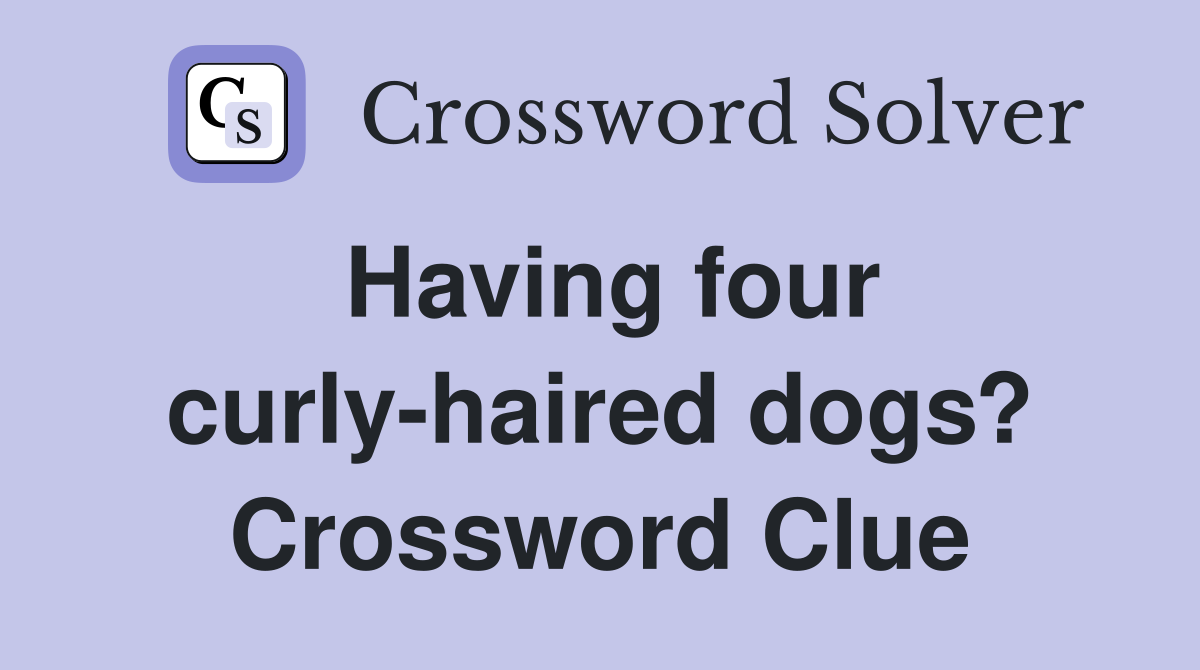 Having four curly-haired dogs? Crossword Clue