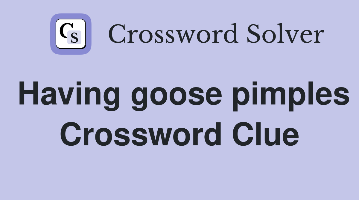 Having goose pimples Crossword Clue