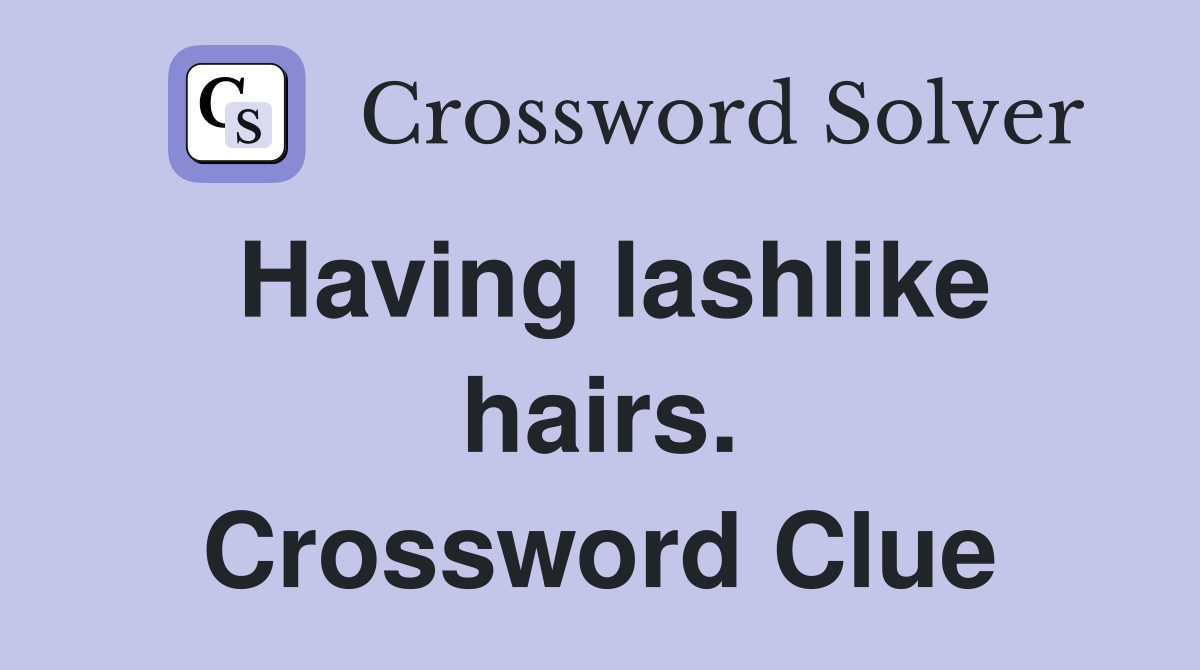 Having lashlike hairs. Crossword Clue