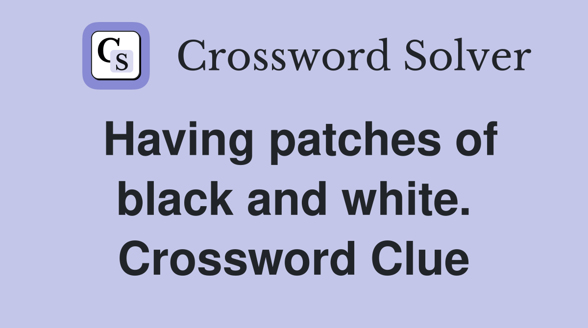 Having patches of black and white. Crossword Clue