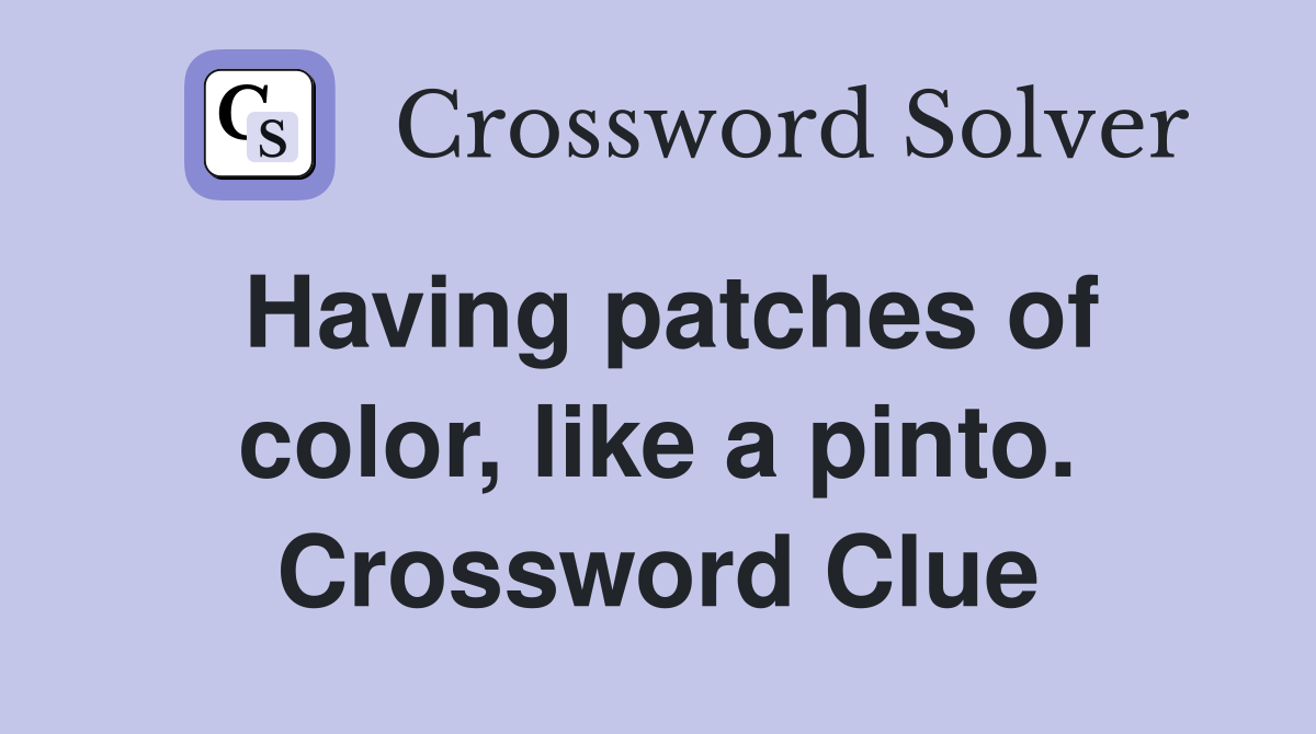 Having patches of color, like a pinto. Crossword Clue